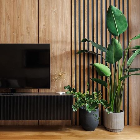Pure Living Apartment W. Private Parking 布拉索夫 外观 照片