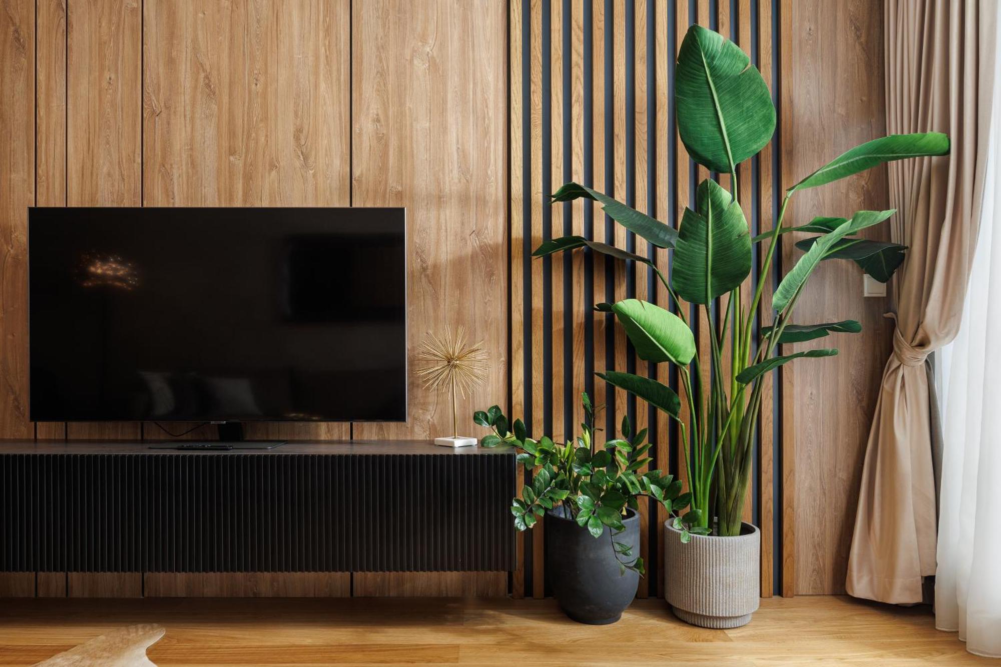 Pure Living Apartment W. Private Parking 布拉索夫 外观 照片
