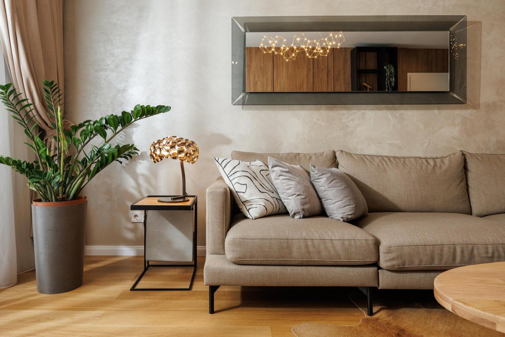 Pure Living Apartment W. Private Parking 布拉索夫 外观 照片